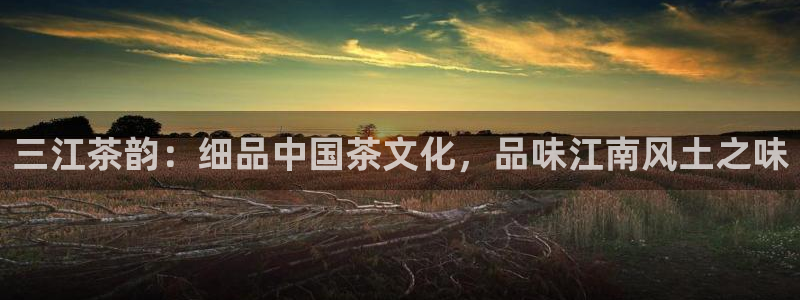 金年会金字招牌下载