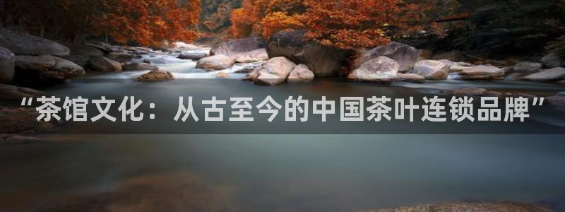 金年会登录入口