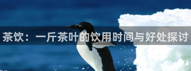 金年会娱乐官网