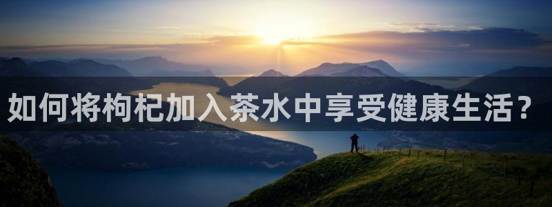 宝金年会