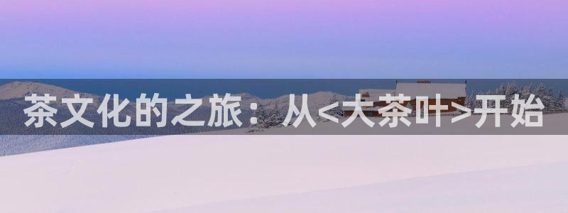 宝金年会