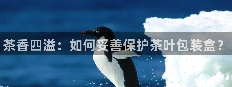 金年会体育下载app