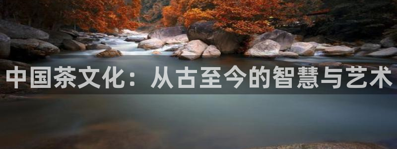 2022金年会