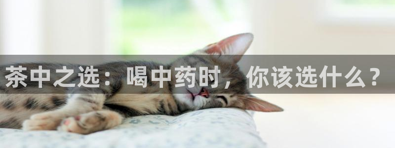 金年会平台是真的吗