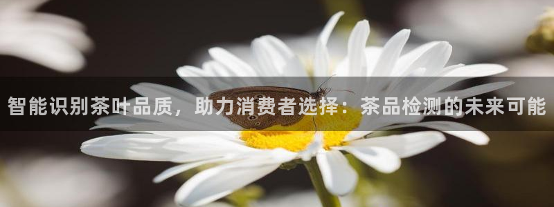 金年会品牌