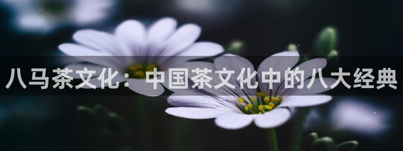 金年会官网app