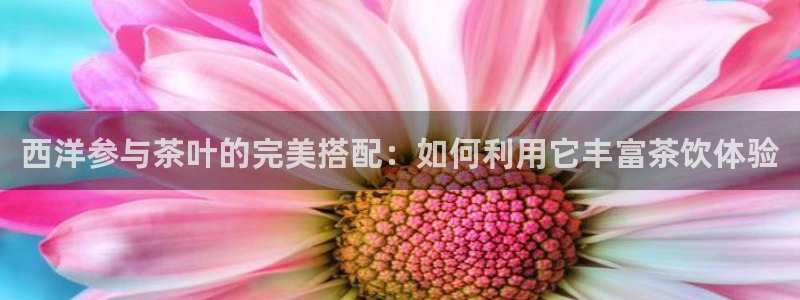 金年会6088070