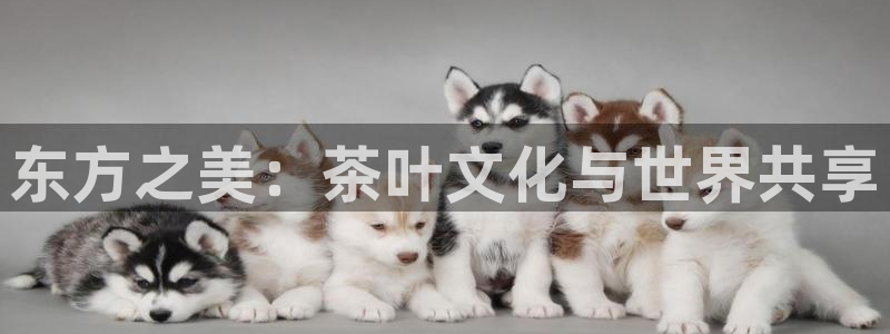 澳门金年会棋牌