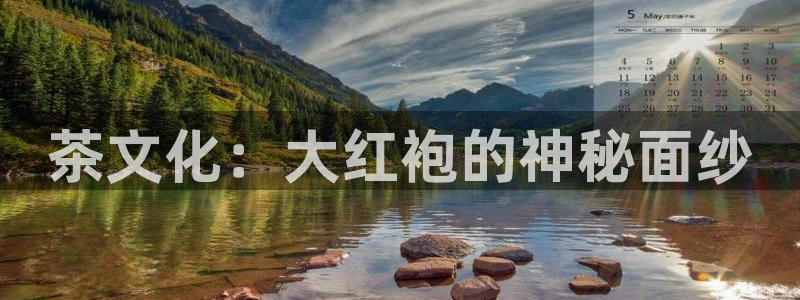 金年会娱乐下载
