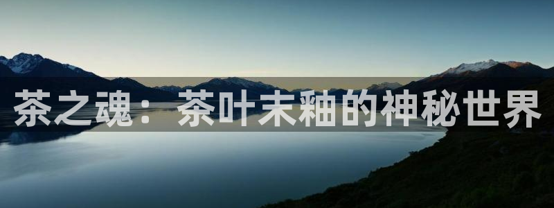 金齿科年会