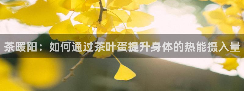 金年会体育金年会官网