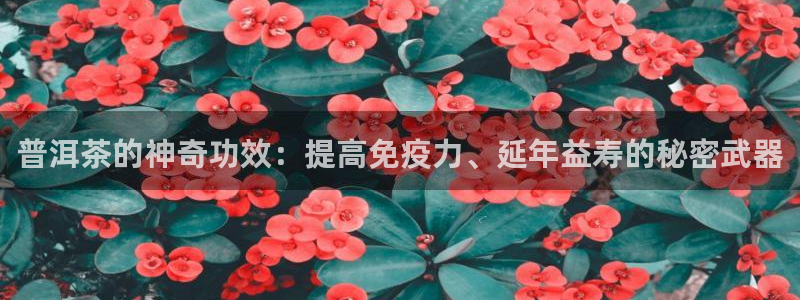 金年会体育平台官网