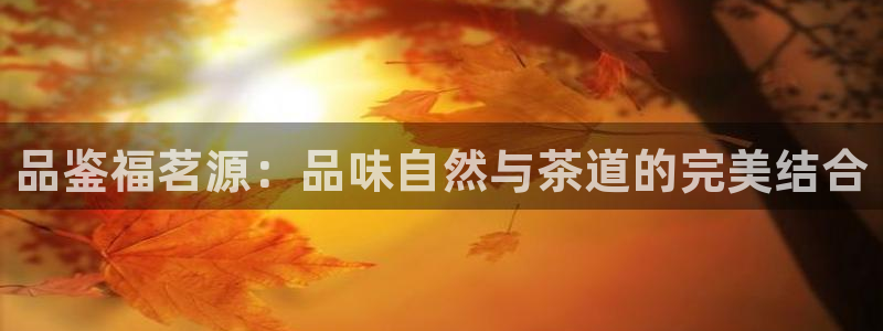 金年会棋牌