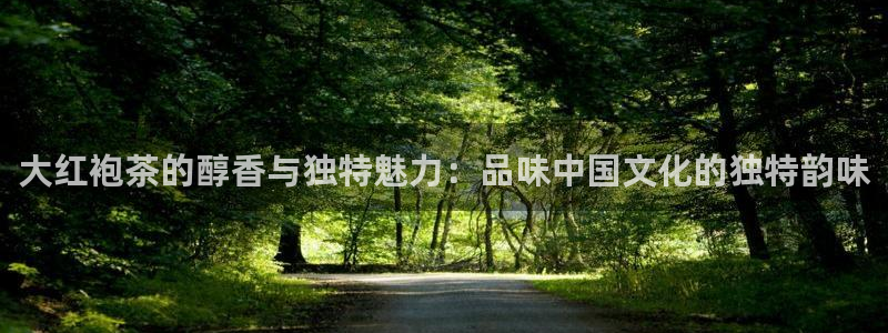 金年会ios下载
