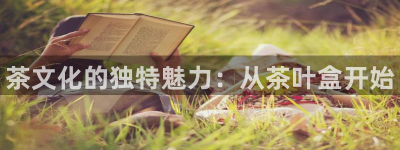 金年会平台是不是大台子