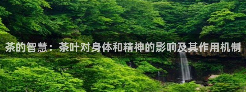 世界杯金年会app下载