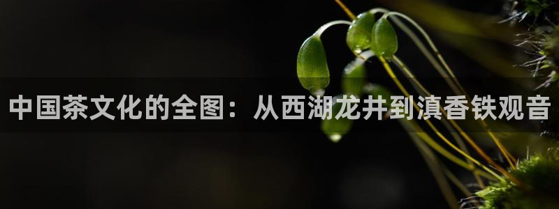 金年会黑平台