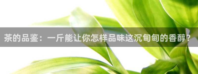 今年会送彩金28