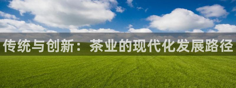 金年会体育官方网站入口