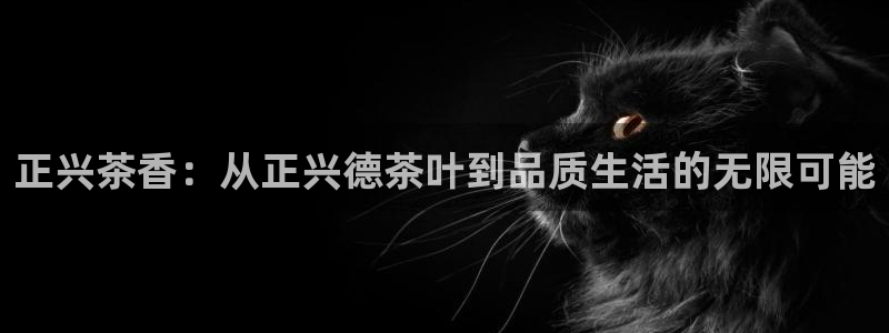 金年会官网app