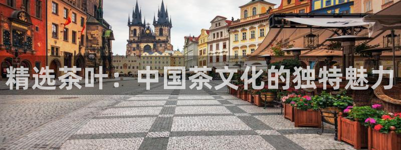 金年会手机网页登录