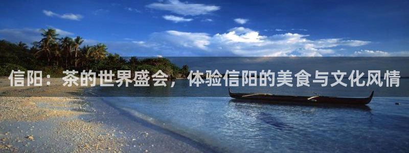 金帆年会2019
