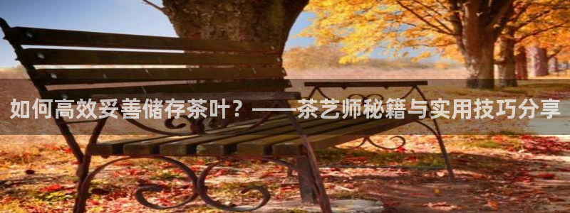 金年会提款慢