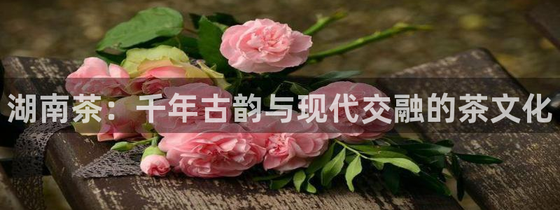 金年会娱乐-平台登录