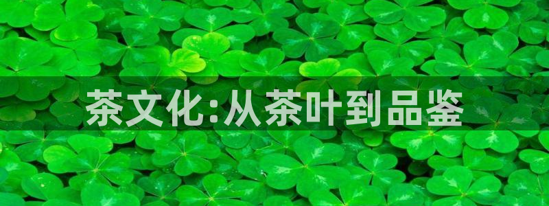 金年会网址