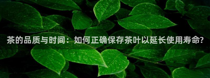 金齿科年会