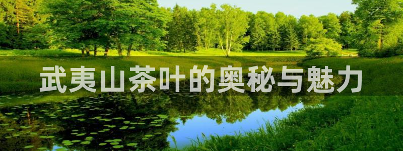 金年会官方网站登录