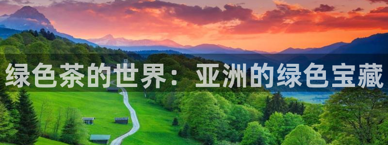 金年会官