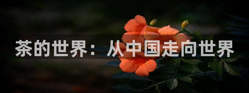 金年会APP安装下载