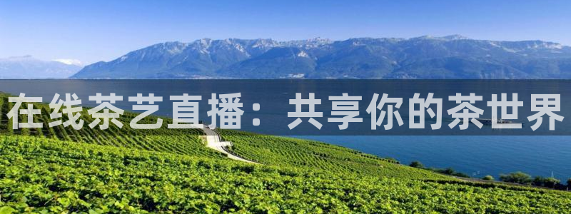 金年会网页登录