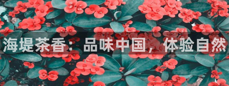 金年会娱乐