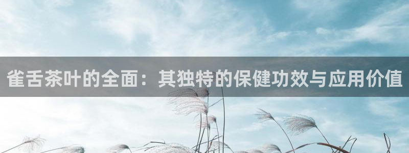 金年会入口