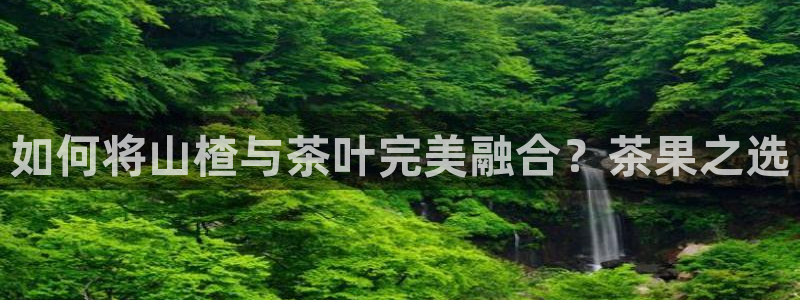 年会金句心得