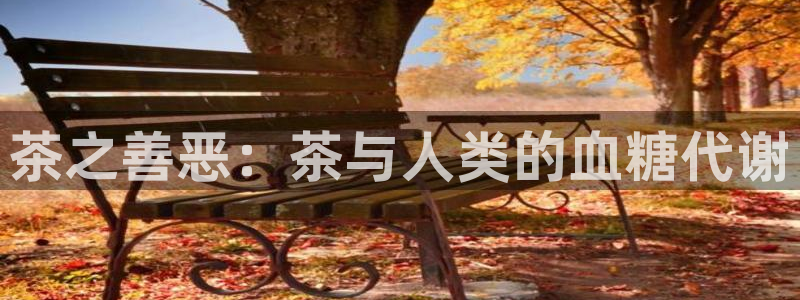金辉城年会视频