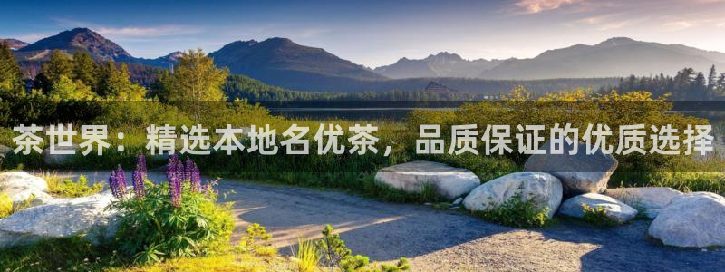 金年会黑网
