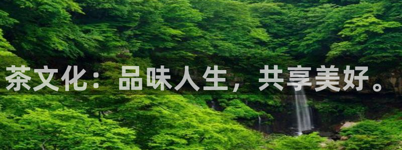 金年会开户