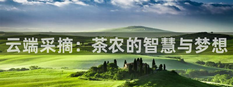 金年会在线入口
