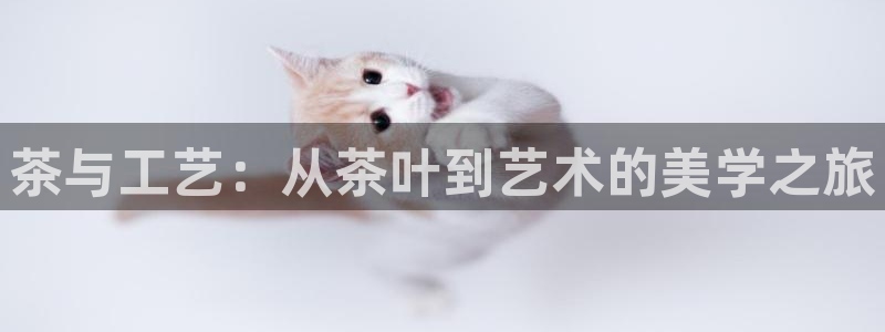 金年会官网地址