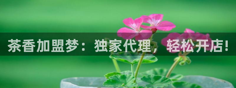 金年会代理
