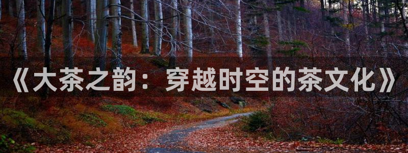 金年会金字招牌诚信至上