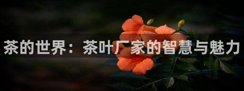 金年会官方入口