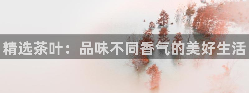 金年会网官网新版