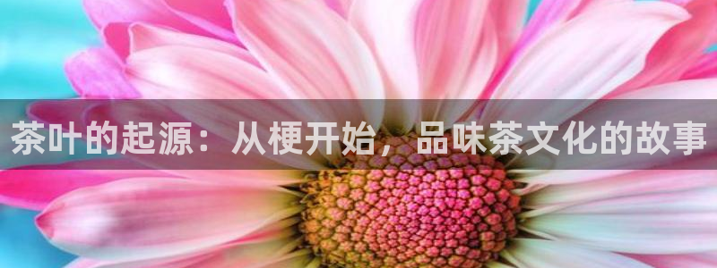 金年会app在线