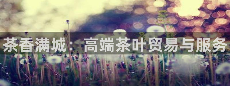 金年会最新登录网站