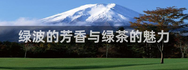 金年会网登录平台入口