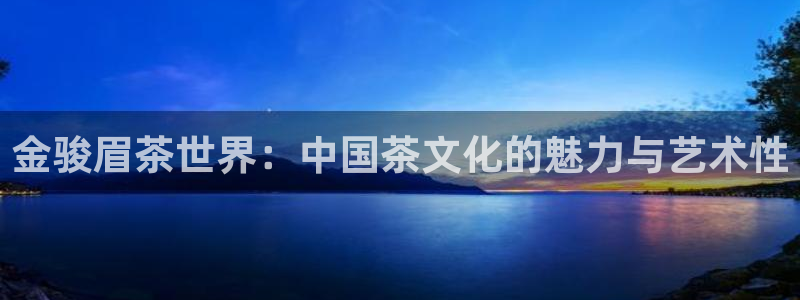 金诚集团年会